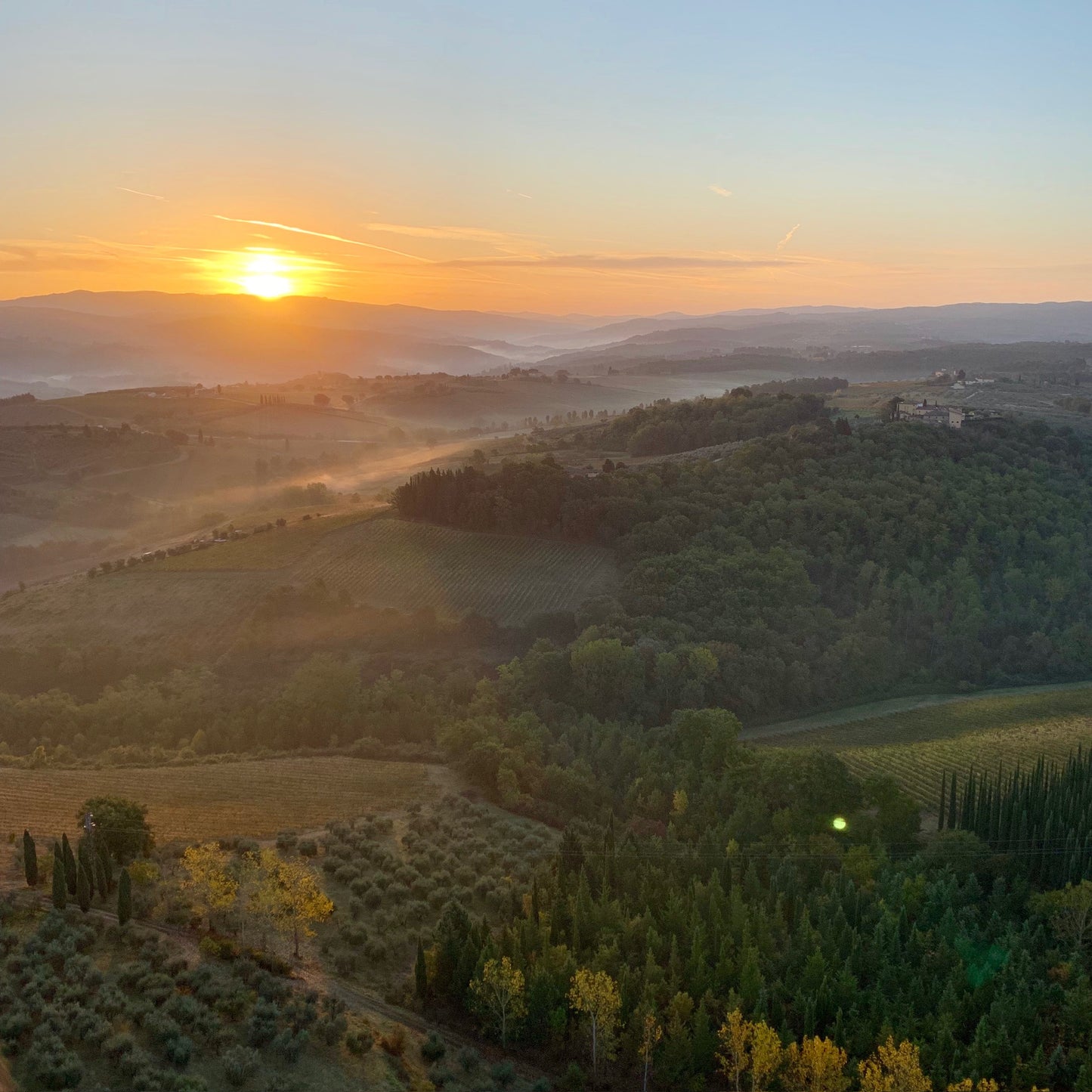 Flourish Tuscany, Experience Italy with Kim Whitaker