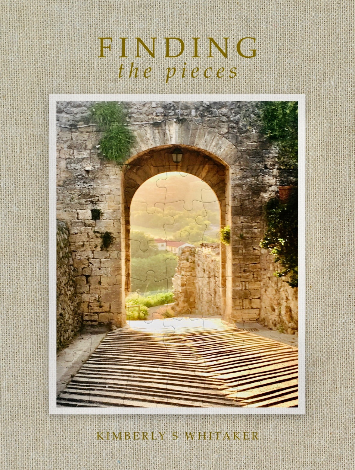 Finding the Pieces Book Cover